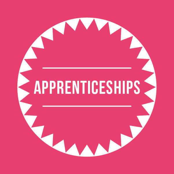Apprenticeships@2x 100