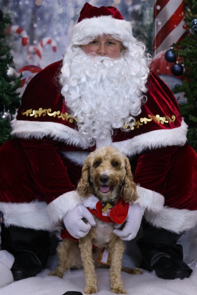 photo of santa holding a small dog